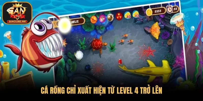 Cá rồng chỉ xuất hiện từ level 4 trở lên