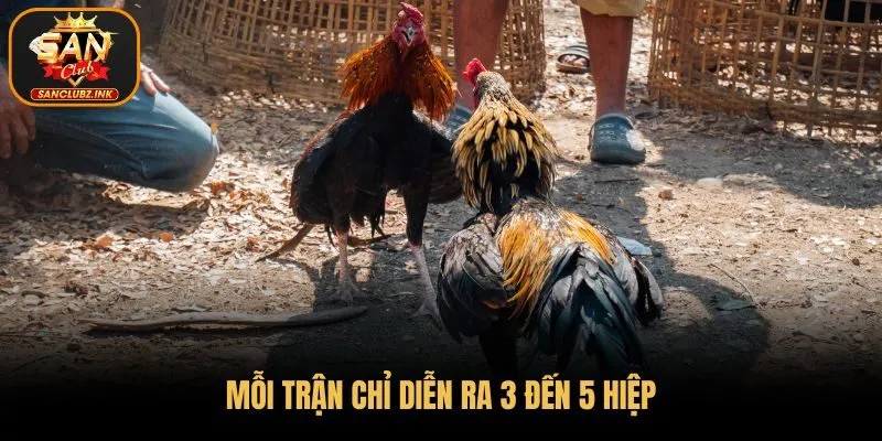 Mỗi trận chỉ diễn ra 3 đến 5 hiệp